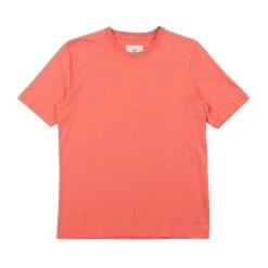 Contrast Sleeve Tee - Coral